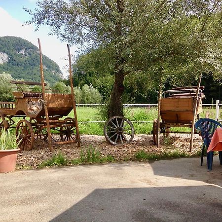 Eichhof Brienzwiler Berner Oberland Villa Dış mekan fotoğraf