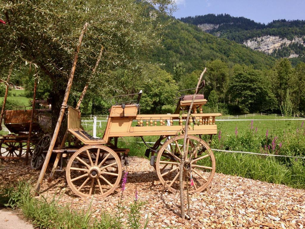 Eichhof Brienzwiler Berner Oberland Villa Dış mekan fotoğraf