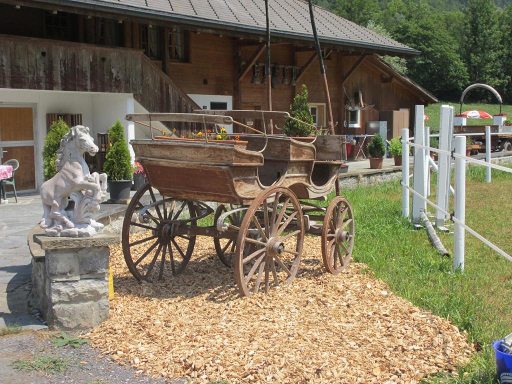 Eichhof Brienzwiler Berner Oberland Villa Dış mekan fotoğraf