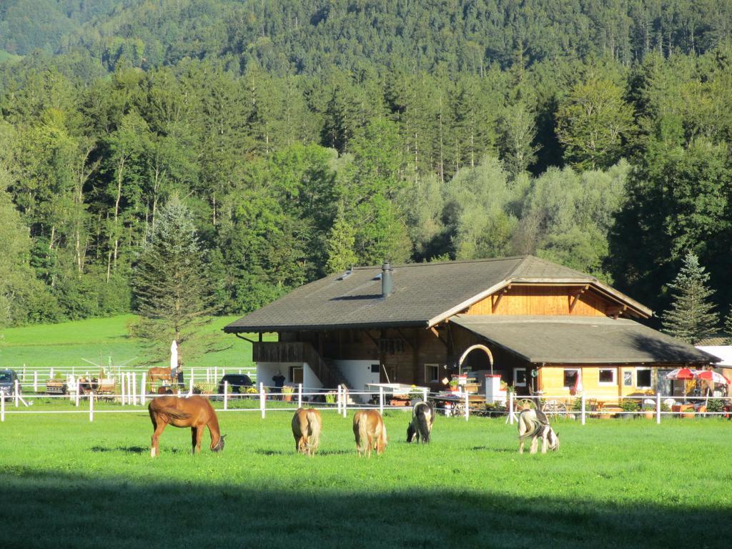 Eichhof Brienzwiler Berner Oberland Villa Dış mekan fotoğraf