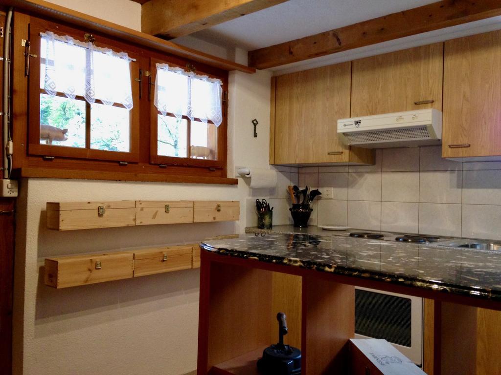 Eichhof Brienzwiler Berner Oberland Villa Dış mekan fotoğraf